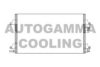 AUTOGAMMA 104205 Condenser, air conditioning